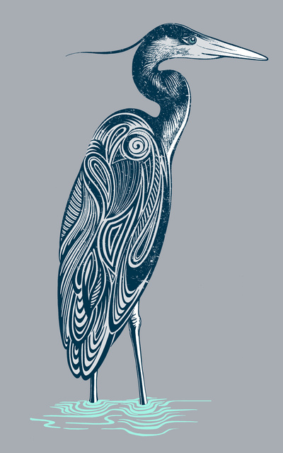 blueheron
